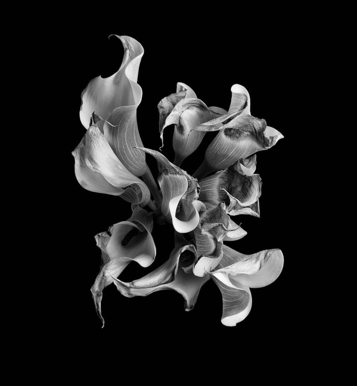 Banner Default Background