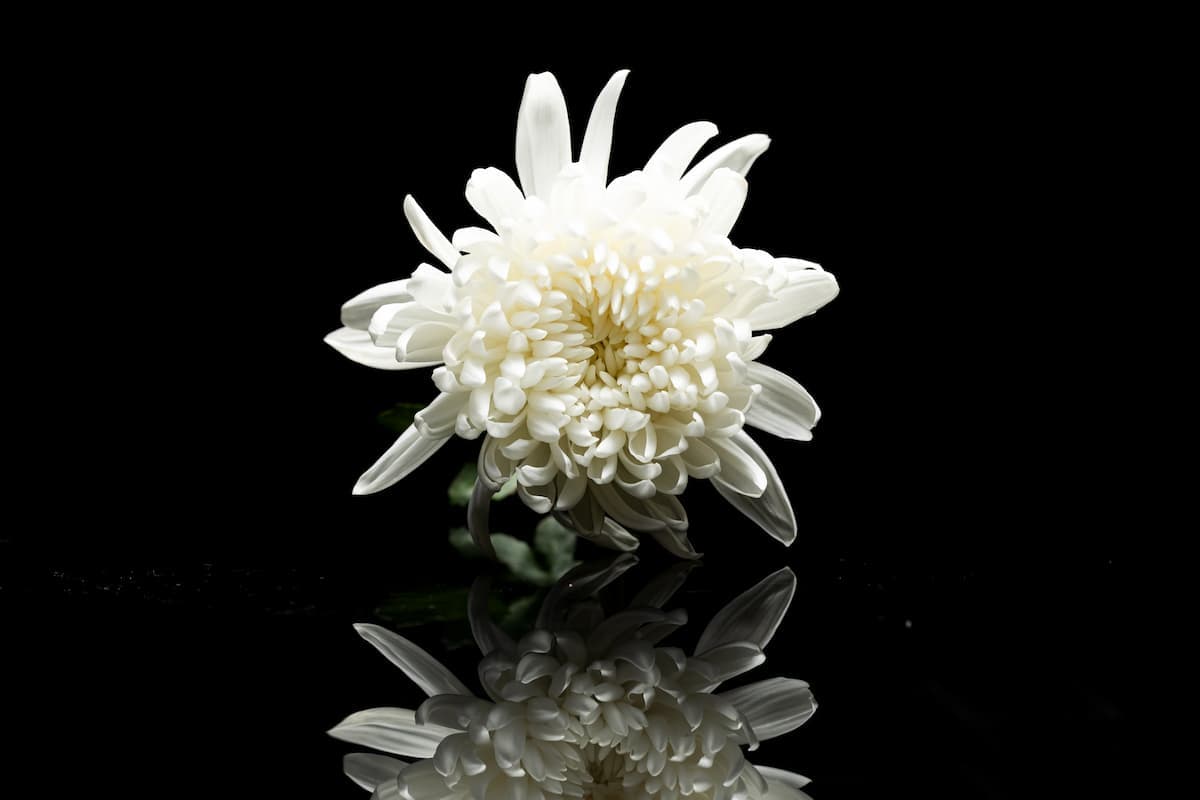 Banner Default Background