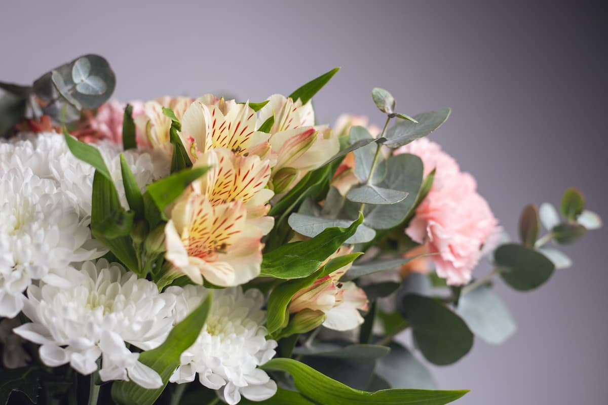 Banner Default Background